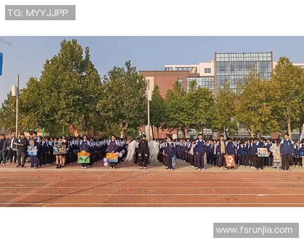 广州排球队的拼搏之路：追梦奥运会的奋斗与荣耀