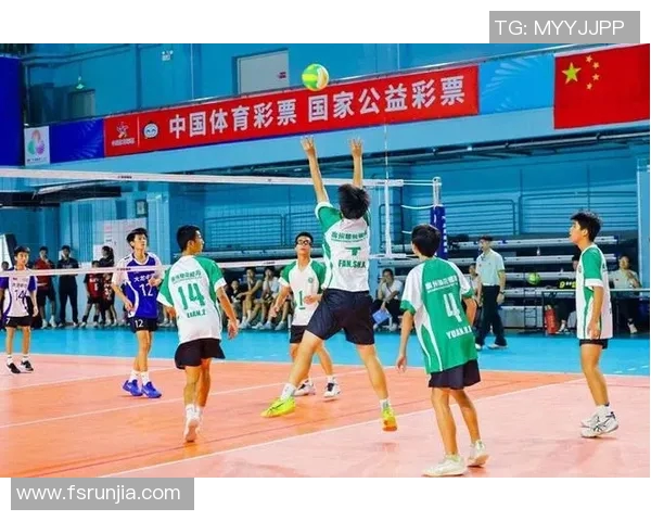 广州排球队比赛经验的创新与变革引发热议