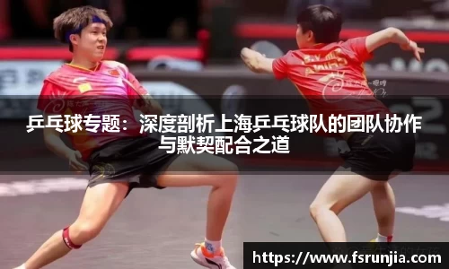 乒乓球专题：深度剖析上海乒乓球队的团队协作与默契配合之道